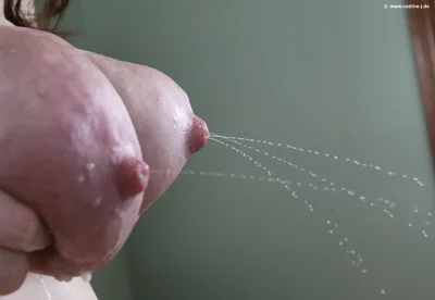 Молоко из сисек