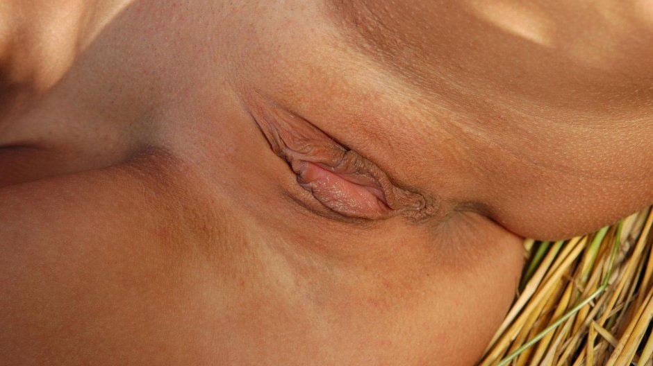 Пшеничное поле