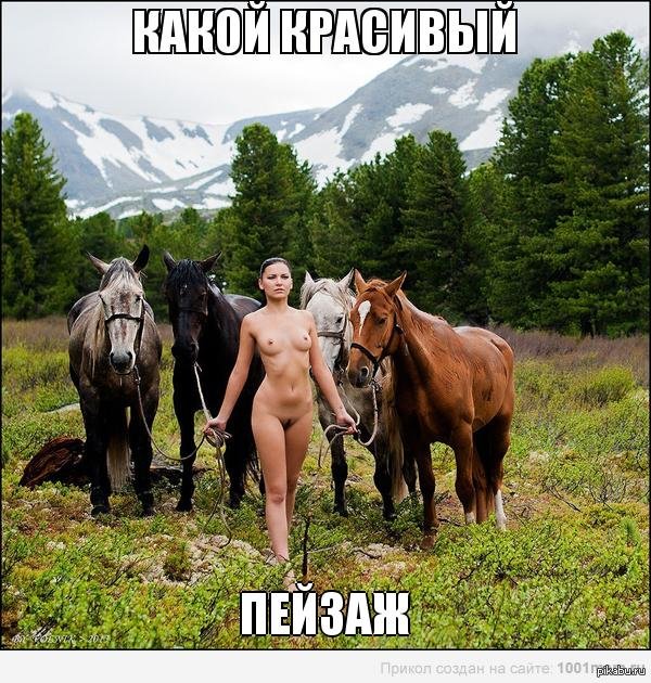 В горах алтая