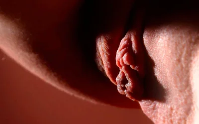 Красивые половые органы