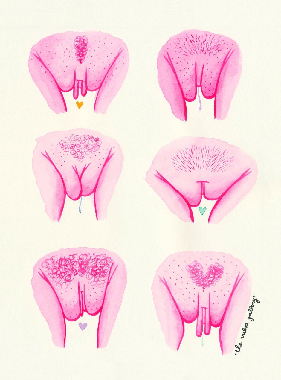 Стилизованные изображения вагины