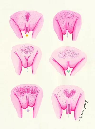 Стилизованные изображения вагины