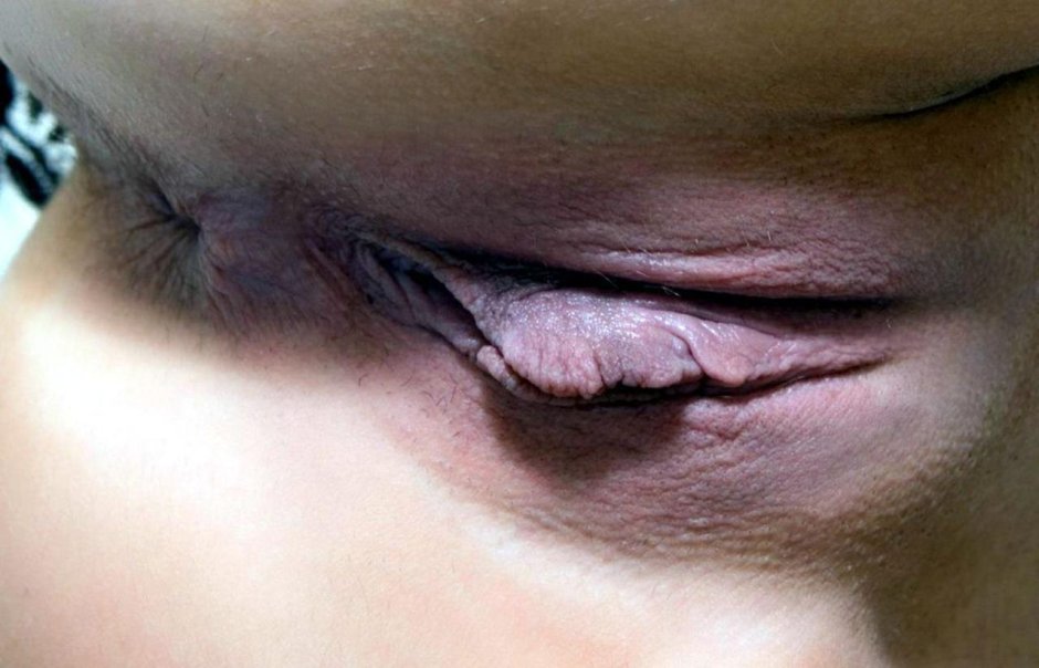 Киска милфы