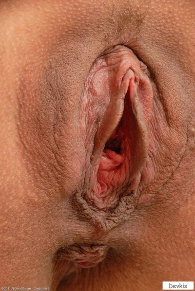 Большие женские влагалища