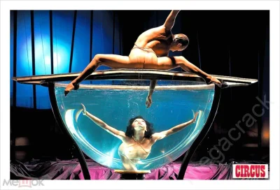 Цирк дю солей zumanity