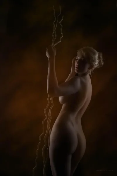 Силуэт девушек