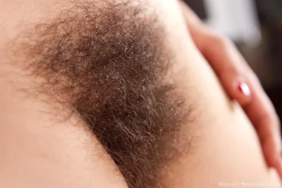 Лобковые волосы