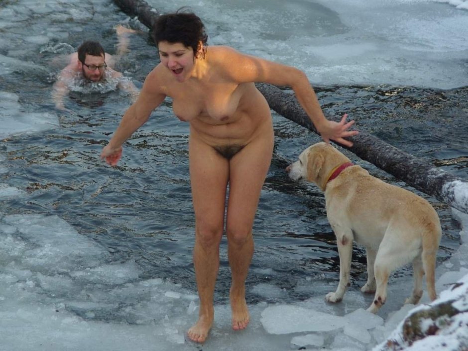 Лабрадор ретривер палевый окрас