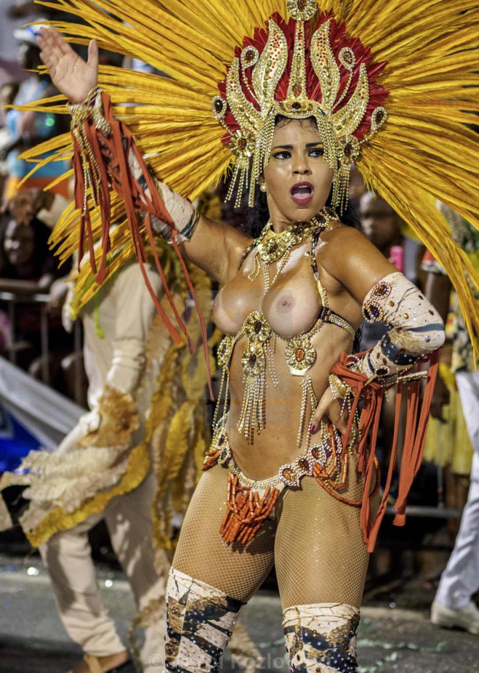 Рио де жанейро карнавал женщины