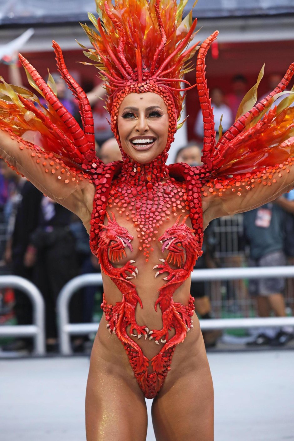 Карнавал рио (rio carnival)