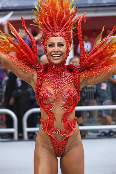 Карнавал рио (rio carnival)