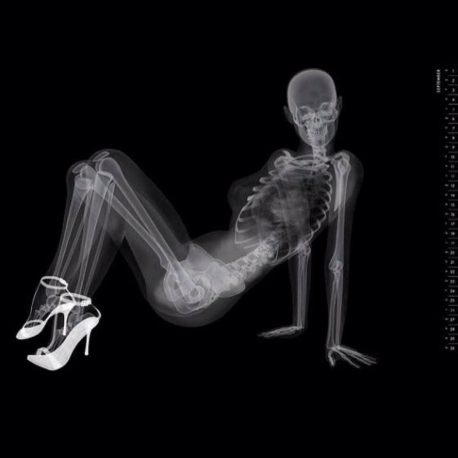 Скелет девушка
