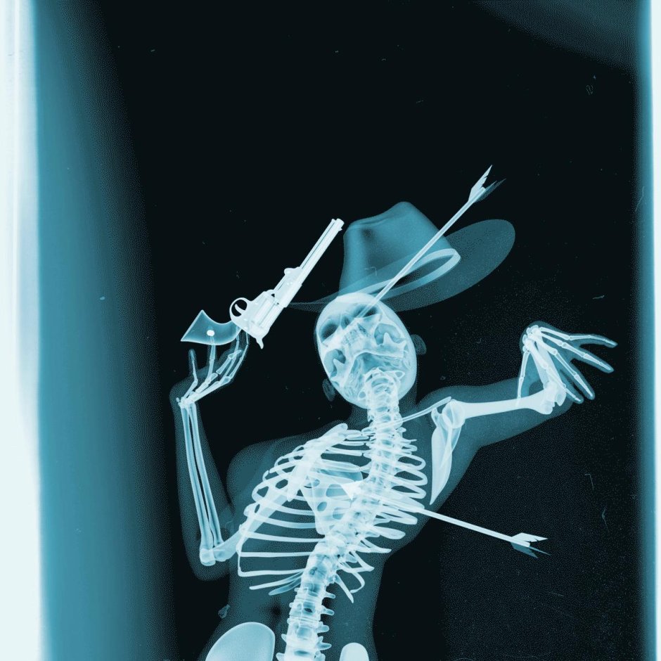 Человеческий скелет