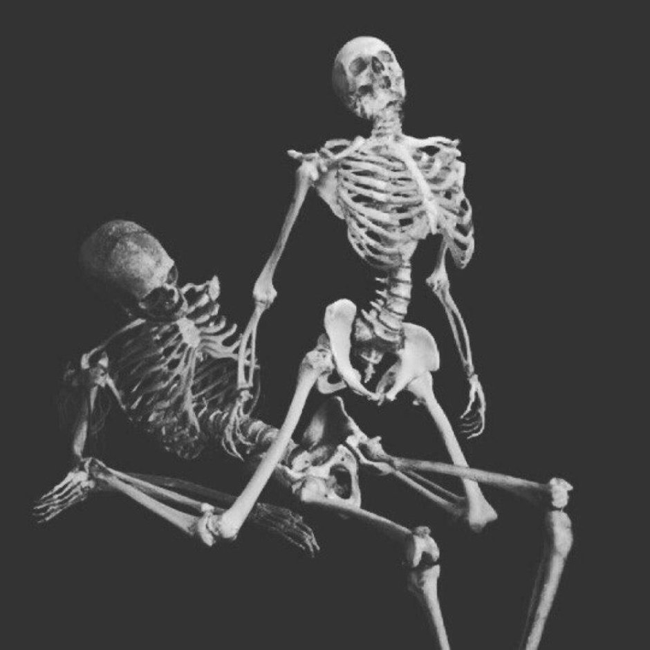 Скелет на рентгене