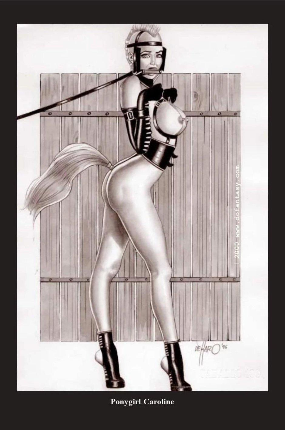 Пониплей понигерл бдсм