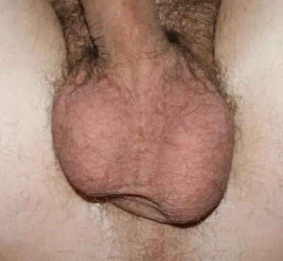 Красивая мошонка