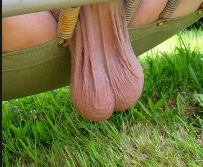 Яички свисают