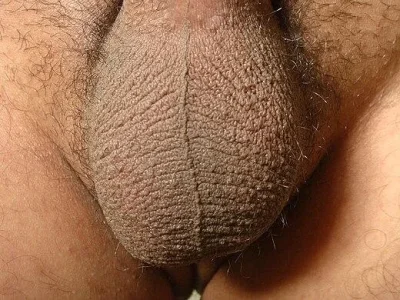 Волосатые яйца порно