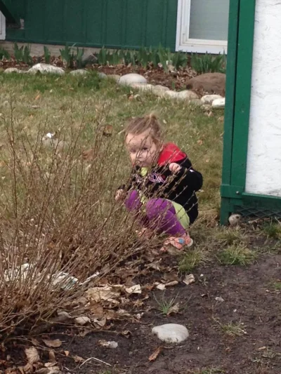 Куст для детей