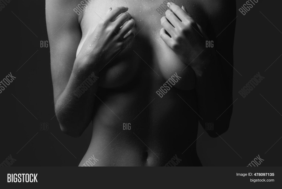 Женское тело эротика