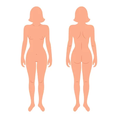 Тело человека женщина