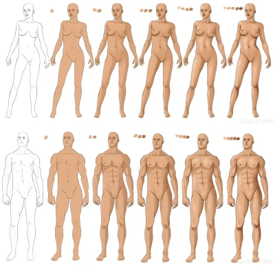 Телосложение человека анатомия