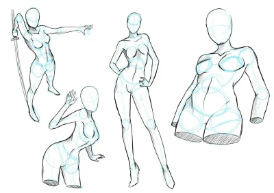 Анатомия девушки референс