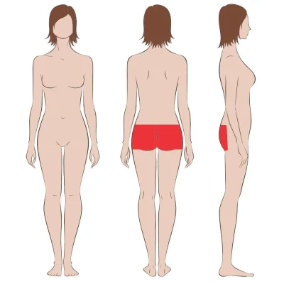 Женское тело спереди