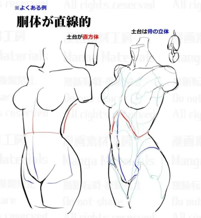 Анатомия человека рисование