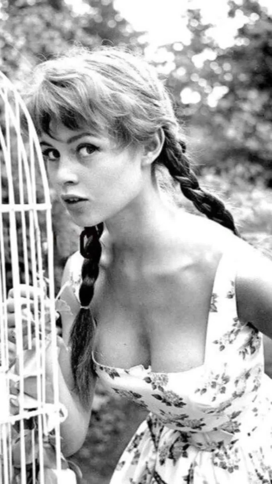 Бриджит бардо в молодости