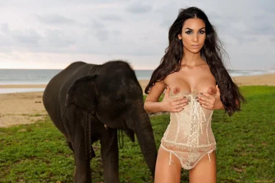 Турецкие порнозвезды sila sahin