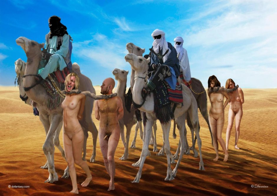 Берберы туареги бедуины