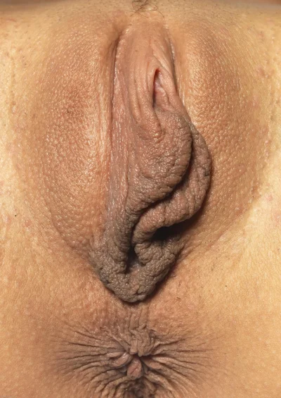 Самые большие половые губы