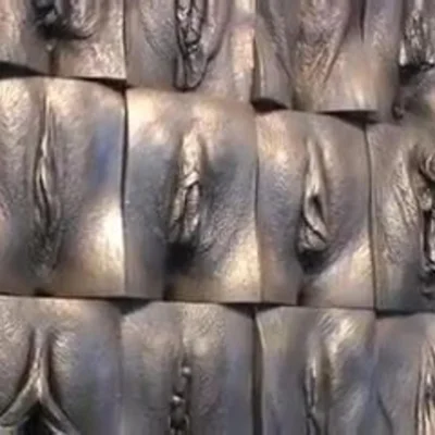 Формы женских влагалищ