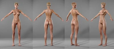 Голое женское тело референс
