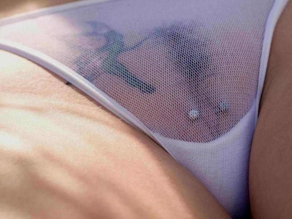 Киски в прозрачных трусиках