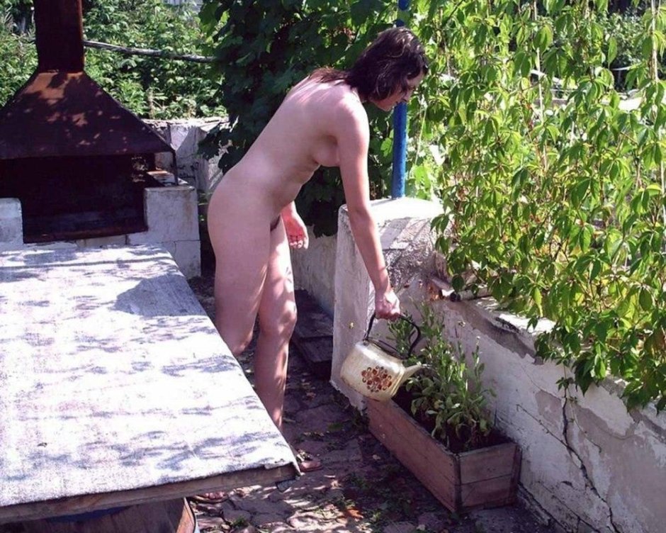 Лоза винограда