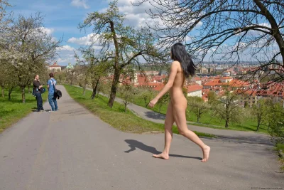 Прогулка голой по школе