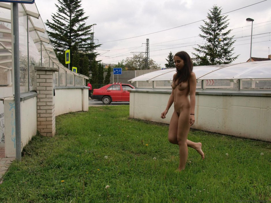 Рождественская елка