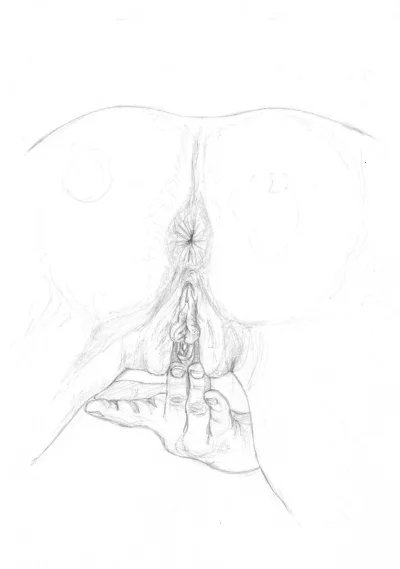 Порно рисунки