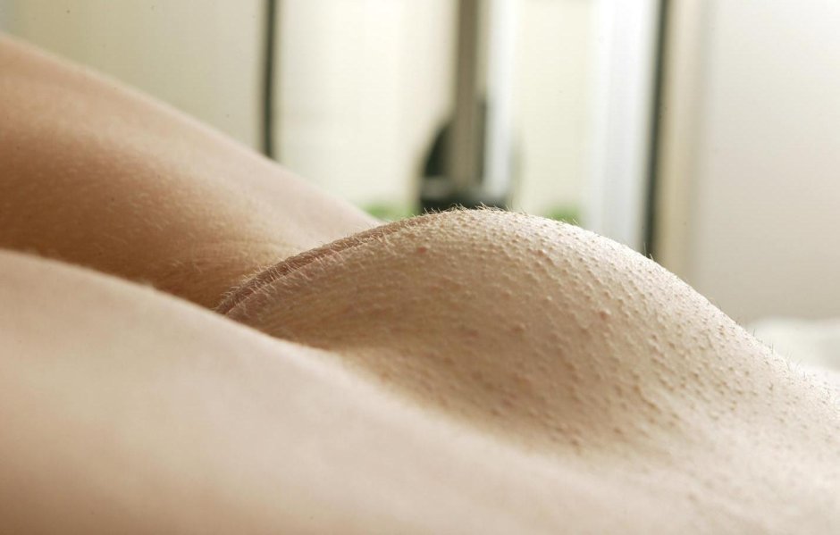 Венерин бугорок mons veneris