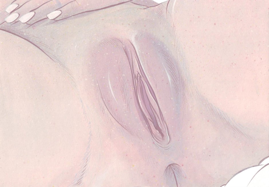 Возбуждённая вульва арты