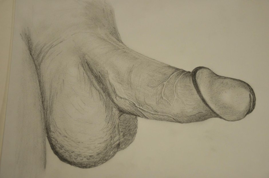 Рисунки с натуры