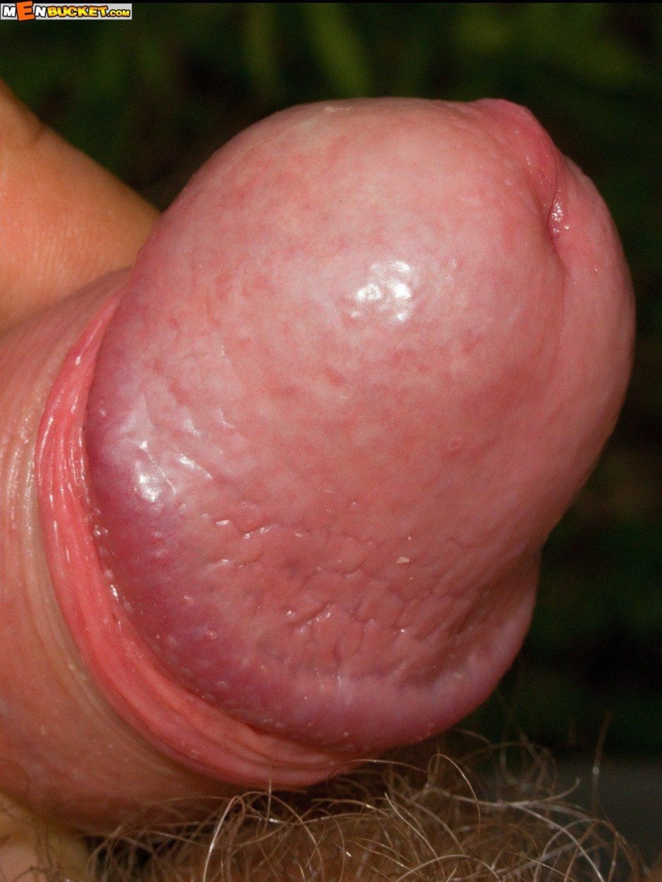 Анал большие члены