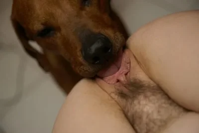 Собака лижет киску девушке