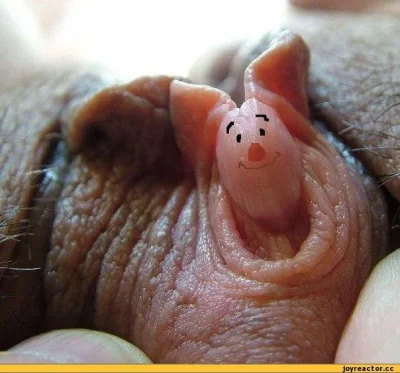 Смешной женский клитор