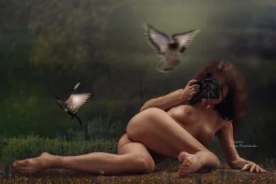 Красивая птица