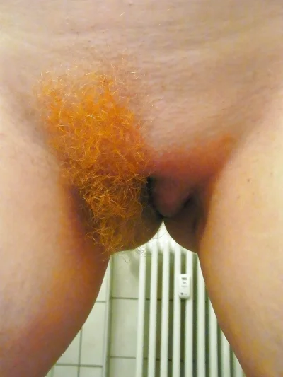 Рыжие лобковые волосы