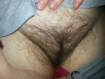 Первые волосы на письке