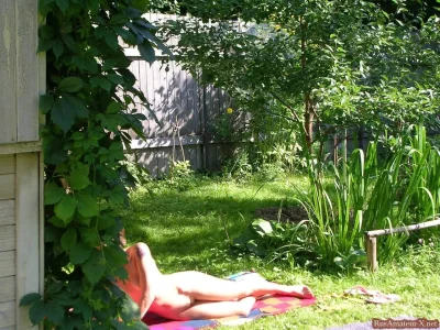 Дачные участки